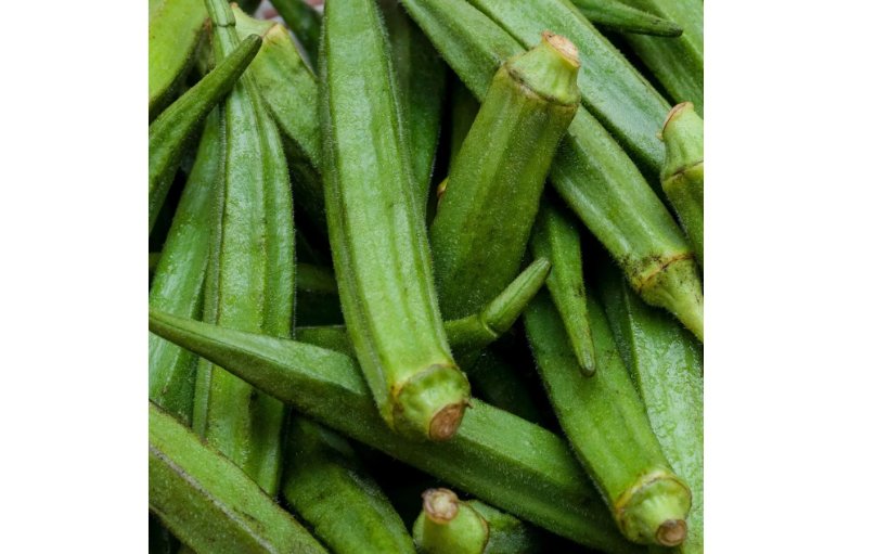 125 Seeds Perkins Long Pod Okra Seeds, NON-GMO, Spineless, Large Okra