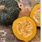 25 Seeds Marina De Chioggia Winter Squash Seeds, Zucca Barucca, NON-GMO
