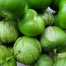 Grande Rio Verde Tomatillo, 100 Seeds, NON-GMO, Mexican Husk Tomato Grande Rio Verde Tomatillo, 100 Seeds, NON-GMO, Mexican Husk Tomato