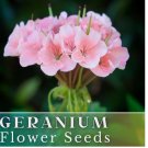 Geranium Seeds -Coral Quartz- Fragrant - Fresh Flower Seeds Non GMO 100+ Seeds