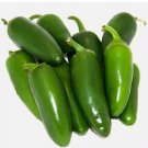 60 Early Jalapeno Pepper Seeds | Heirloom / Non-GMO
