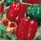 California Wonder Bell Pepper, Heirloom, NON-GMO 100  Seeds
