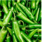 60 Serrano Pepper Seeds | Heirloom / Non-GMO