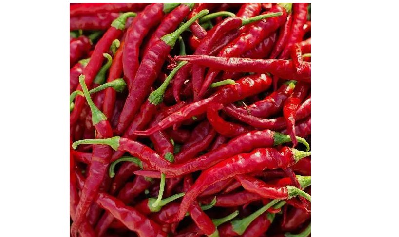 60 Cayenne Long Thin Pepper Seeds | Heirloom / Non-GMO