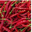 60 Cayenne Long Thin Pepper Seeds | Heirloom / Non-GMO