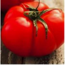 250 Beefsteak Tomato Seeds | Heirloom Tomato Seeds | Fresh NON-GMO Vegetable Seeds