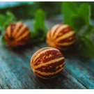 20 Rich Sweetness 132 Melon Seeds, Heirloom, Non-GMO, Genuine USA 20 Rich Sweetness 132 Melon Seeds, Heirloom, Non-GMO, Genuine USA