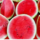 SUGAR BABY WATERMELON 100+SEEDS SUPER SWEET FRUIT HEIRLOOM NON-GMO MELON USA