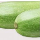20 Italian Squash Zucchini Seeds | NON-GMO | Heirloom | Fresh Garden Seeds