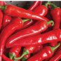 100 Cayenne Large Red Thick Pepper Seeds, NON-GMO