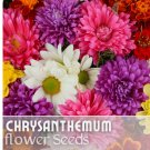 200+ Bountiful Mix Mum Chrysanthemum Seeds  Mum Flower, Flower Seeds Annual