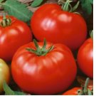 100 Beefsteak Tomato Seeds | Heirloom / Non-GMO