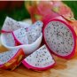 Dragon Fruit Seeds - Hylocereus Triangularis for Luscious Fruit 200pcs