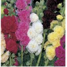 Summer Carnival Mix Hollyhock Seeds | Non-GMO 25+ Seeds