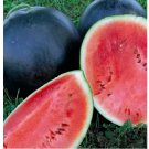 25 Black Diamond Watermelon Seeds | NON-GMO Watermelon Seeds | Heirloom Seeds