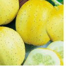 50 Lemon Cucumber Seeds | NON-GMO Cucumber Seeds | Heirloom Garden Seeds