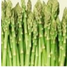 50 Mary Washington Asparagus Seeds | NON-GMO Asparagus Seeds Heirloom Garden Seeds