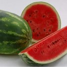 50 All Sweet Watermelon Seeds | Heirloom / Non-GMO