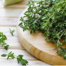 300 Thyme Seeds | Heirloom / Non-GMO Herb Seeds