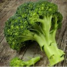 500 WALTHAM 29 BROCCOLI SEEDS ~ heirloomseedguy NON-GMO