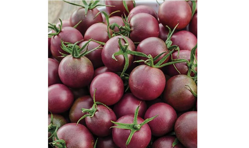 60 Black Cherry Tomato Seeds | Heirloom / Non-GMO