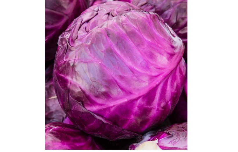 200 Red Acre Cabbage Seeds | Non-GMO | Heirloom | Fresh Garden Seeds