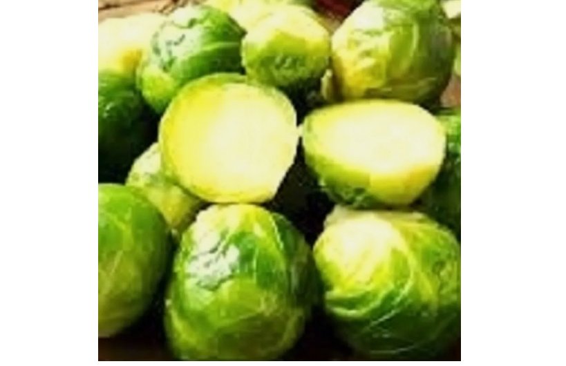Long Island Brussels | NON-GMO Sprouts Seeds | Fresh Heirloom Garden Seeds 250 Seeds
