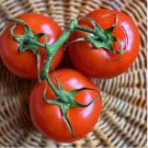 100 Floradade Tomato Seeds | Heirloom / Non-GMO