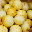 100 Lemon Cucumber Seeds | Heirloom / Non-GMO