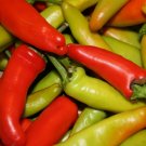500 Cubanelle Sweet Pepper Seeds, NON-GMO