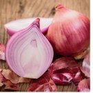 200 Ruby Red Onion Seeds | Heirloom / Non-GMO 200 Ruby Red Onion Seeds | Heirloom / Non-GMO