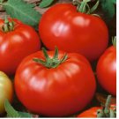 100 Beefsteak Tomato Seeds | Heirloom / Non-GMO