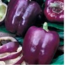 200 Purple Beauty Bell Pepper Seeds, Sweet, NON-GMO, Heirloom