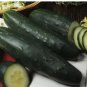 Cucumber Seeds - Marketer | Vegetable Garden Pickling NON-GMO USA 50+ Seeds