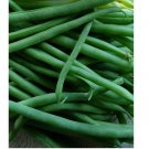 40 Jade Bush Green Bean Seeds, Stringless, NON-GMO