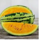 20 Orangeglo Watermelon Seeds | Heirloom / Non-GMO