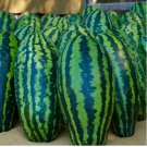 15 Giant Jubilee Watermelon Seeds | Heirloom & Non-GMO | Fresh Fruit Garden Seeds