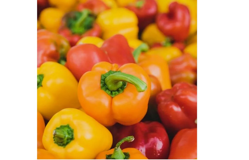 Sweet Mini Bell Pepper Seeds, 20+ Red, Orange, Yellow, NON-GMO, Mixed Color