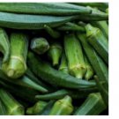 Emerald Okra Seeds NON-GMO 100+ Seeds