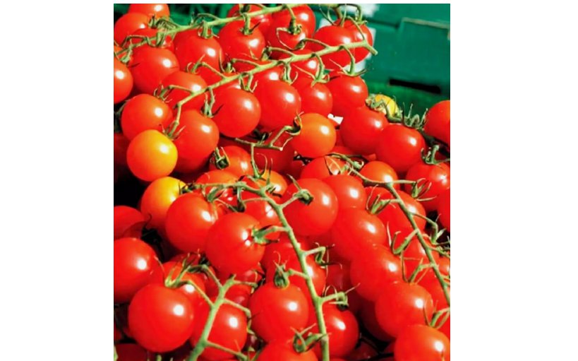 CHERRY TOMATOES SUPER SWEET LARGE SEEDS 250+ SWEET TASTY HEIRLOOM NON-GMO RARE