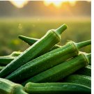 OKRA CLEMSON GARDEN VEGETABLE HEIRLOOM GUMBO NON-GMO 200 Seeds