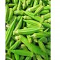 OKRA CLEMSON GARDEN VEGETABLE HEIRLOOM GUMBO NON-GMO 200 Seeds