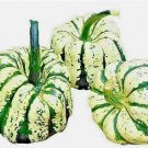 SWEET SQUASH SPRING VEGETABLE TASTY 20 SEEDS PUMPKIN TASTY HEIRLOOM NON-GMO USA SWEET SQUASH SPRING VEGETABLE TASTY 20 SEEDS PUMPKIN TASTY HEIRLOOM NON-GMO USA