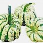 SWEET SQUASH SPRING VEGETABLE TASTY 20 SEEDS PUMPKIN TASTY HEIRLOOM NON-GMO USA
