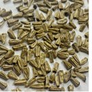 ACORUS CALAMUS 50 Seeds  Sweet Flag, Muskrat Root Flower Seeds