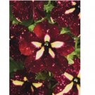 purple petunia star flower 20 seeds for spring summer fall fast growing