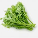 Chrysanthemum 2000+ seeds | Tan Ngo | Cai Cuc | Tan O