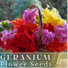 Geranium 100+ Seeds -Luster Mix- Fragrant - Fresh Flower Seeds Non GMO