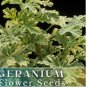 Geranium 100+ Seeds -Luster Mix- Fragrant - Fresh Flower Seeds Non GMO