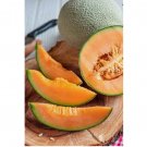 Organic Sugar Kiss Cantaloupe Melon 30 Seeds / Very Sweet / Texas Grown